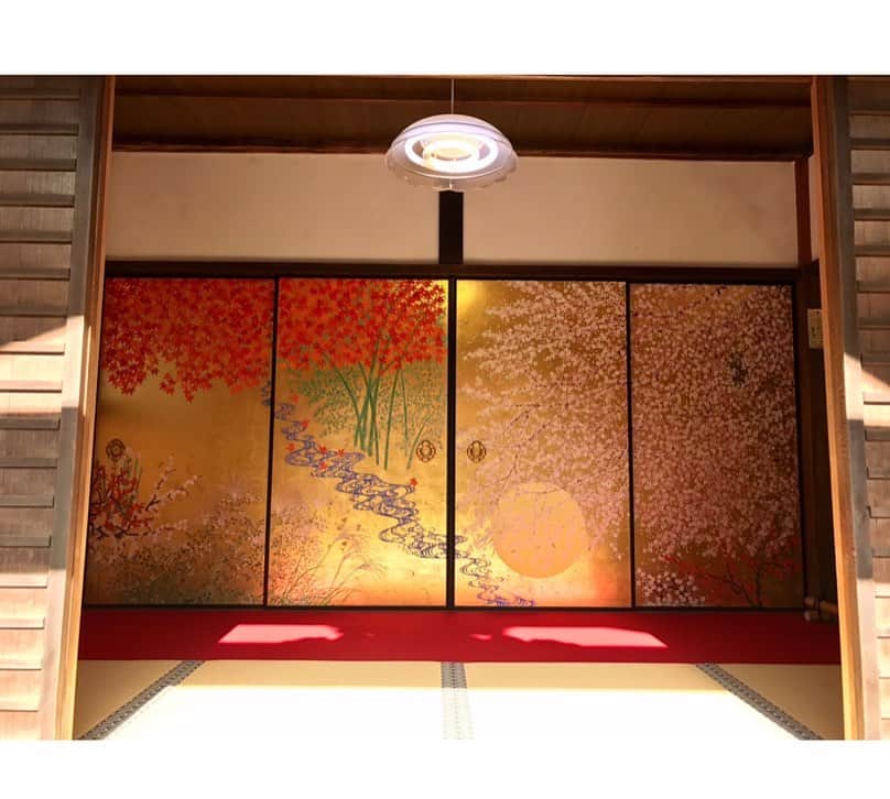 西谷綾子さんのインスタグラム写真 - (西谷綾子Instagram)「✴︎ お天気や時間帯、光の具合により さまざまな表情を見せる紅葉☺️ ・ 限られた時間のなかで 5ヶ所も🍁楽しめたー✌️😊🎶 ・ #そうだ京都行こう  #弾丸旅行 #四季 #綺麗な景色  #京都 #紅葉 #美しい #風景」12月3日 18時26分 - ayako.nishitani