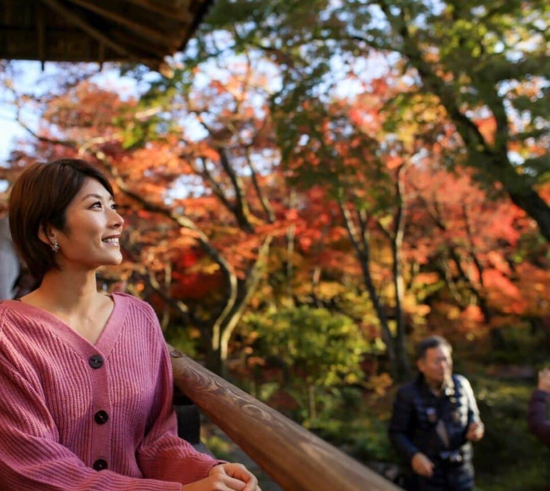 西谷綾子のインスタグラム：「✴︎ お天気や時間帯、光の具合により さまざまな表情を見せる紅葉☺️ ・ 限られた時間のなかで 5ヶ所も🍁楽しめたー✌️😊🎶 ・ #そうだ京都行こう  #弾丸旅行 #四季 #綺麗な景色  #京都 #紅葉 #美しい #風景」