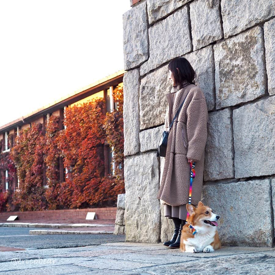 ericoさんのインスタグラム写真 - (ericoInstagram)「✩ 俺、倉敷美観地区にも行って来たぜ😼✨ ✩  I went for a walk in Kurashiki Bikan Area is popular as a tourist destination. ✩ #倉敷 #倉敷美観地区 #岡山県  #それいけ力丸くん #コーギー  #犬のいる暮らし#pembrokewelshcorgi  #corgistagram #barked  #buzzfeed #corgisofinstagram  #dailyfluff #9gag #weeklyfluff」12月3日 18時35分 - ericobear