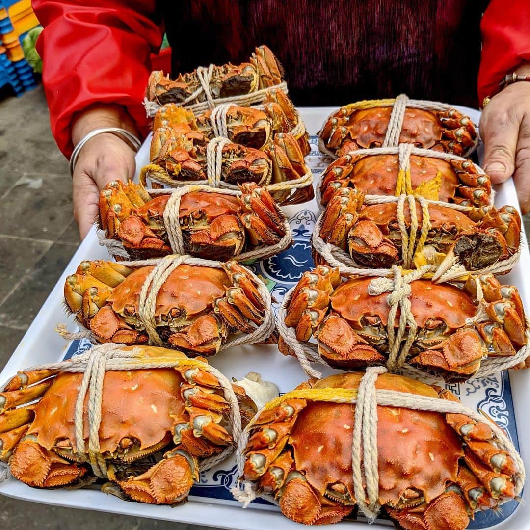"TERIYAKI" テリヤキ編集部さんのインスタグラム写真 - ("TERIYAKI" テリヤキ編集部Instagram)「中国・蘇州まで今が旬の上海蟹を取りに行ってきました！TERIYAKI美食倶楽部の会員限定で募集し、上海蟹の雄雌の食べ比べや養殖と天然の食べ比べなど他ではできない体験でした。  総勢20人で150匹食べるという、一生分の上海蟹を一晩で食べ尽くしました。こんなに豪快なイベントは、なかなかありません。  TERIYAKI美食倶楽部に入会したら、グルメに特化したここでしかできないイベントをたくさん企画してます。ぜひ、入会して一緒に巡りましょう！  #TERIYAKI美食倶楽部　#上海蟹　#上海　#蘇州　#中国　#グルメツアー　#蟹 #大人のグルメ旅」12月3日 18時39分 - teriyaki_jp