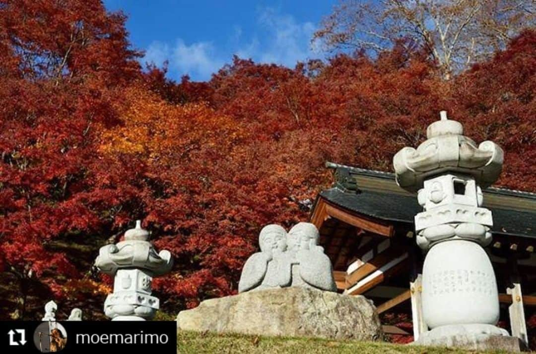 zekkei_ibarakiのインスタグラム：「エントリーNo.190280. ━･･━･･━･･━･･━･･━･･━ #Repost @moemarimo ━･･━･･━･･━･･━･･━･･━ 少し前ですが。  11月20日に朝早起きして  大子にある「永源寺」 通称、もみじ寺。いってきたよ。  朝日が眩しいーー。  朝の7時につきました。  なので。 ほぼ貸し切り～😆💕✨ 真っ赤な紅葉が素晴らしくて。  2019/11/20 #茨城県#大子町 #bestjapanpics_#myheartinshots#skyshotarchive#茨城フォト倶楽部 #wp_flower#lovers_nippon #japan_photo_now#inspring_shot#lovers_amazing_group#広がり同盟#lovers_garden#nipponpic#explore_dof_#deaf_b_j_#best_moments_flower #tv_flowers#superb_flowers#favv_flowers#japan_bestpic_#japan_bestpic_#iba_geo#flower_special_#nature_special_legend#zekkeiいばらき2019#永源寺#もみじ寺」