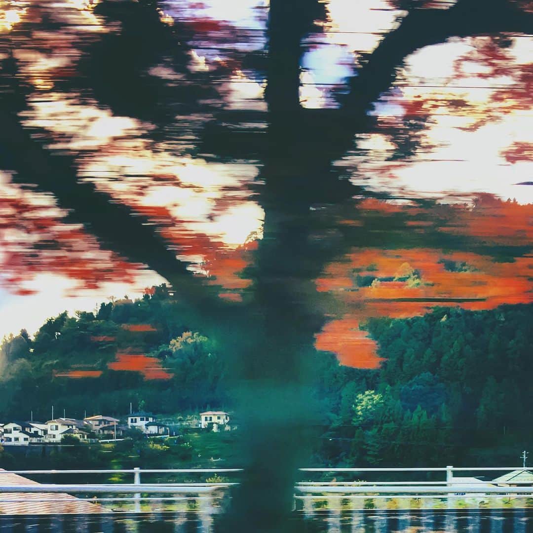 まめさんのインスタグラム写真 - (まめInstagram)「From the car window🍂 . . 車の中から偶然撮れてた写真が 面白いなーって=͟͟͞͞( •̀д•́))) . #Autumn  #mwjp #igersjp #instagramjapan #indies_gram #indies_minimal #hueart_life #reco_ig #shotoniphone #youmobile #wearegrryo」12月3日 18時56分 - zahrada
