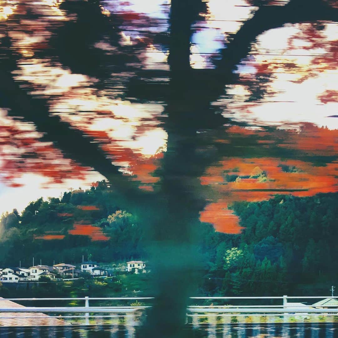 まめのインスタグラム：「From the car window🍂 . . 車の中から偶然撮れてた写真が 面白いなーって=͟͟͞͞( •̀д•́))) . #Autumn  #mwjp #igersjp #instagramjapan #indies_gram #indies_minimal #hueart_life #reco_ig #shotoniphone #youmobile #wearegrryo」