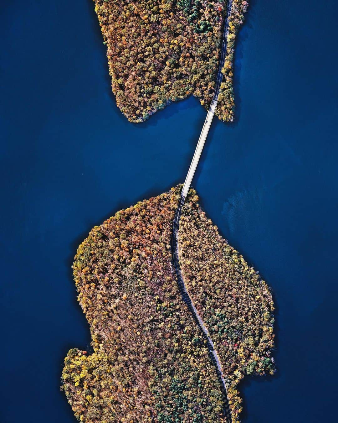 Daily Overviewさんのインスタグラム写真 - (Daily OverviewInstagram)「A bridge crosses the Kensico Reservoir in the town of Valhalla, New York. Located about 15 miles (24 km) north of New York City, the reservoir stores waters received from the Catskill Mountains and provides a site for fishing and boating recreation. With an average depth of nearly 44 feet (13.5 m) and a maximum depth of 120 feet (37 m), it can hold 30 billion gallons (113 billion liters) of water. /// Created by @dailyoverview, source imagery: @nearmap」12月4日 4時32分 - dailyoverview