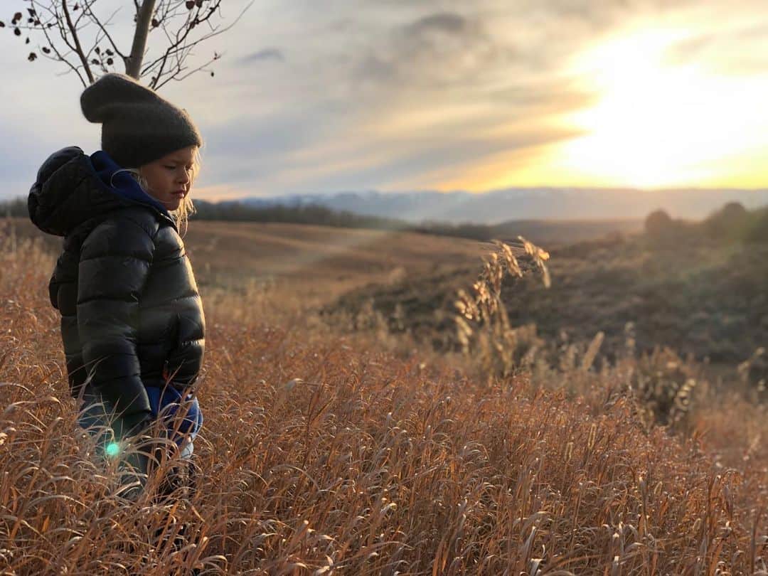 のインスタグラム：「"You can look at a picture for a week and never think of it again. You can also look at a picture for a second and think of it all your life." The Goldfinch and/or my heart.」