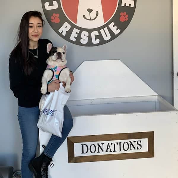 Manny The Frenchieのインスタグラム：「Reflecting on my rescue visits this past year and so thankful for being able to meet so many pawsome people and animals. As always, thank you to my friends at @zymox_official for their product donations and continued support. On this #GivingTuesday consider helping animals in need. Not sure where to start? Visit www.mannyandfriends.org」