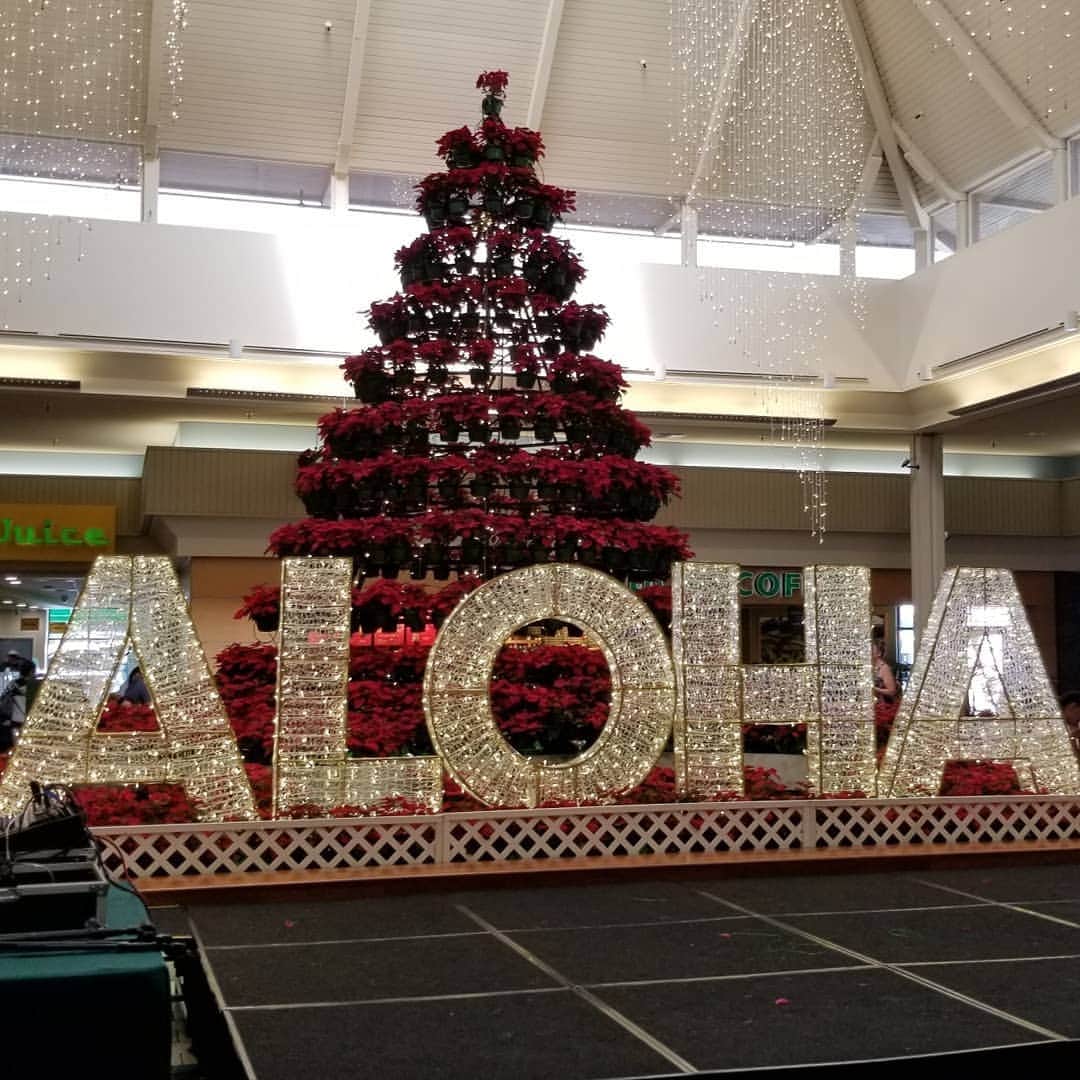 瀬川慶のインスタグラム：「Holiday season is here with ALOHA! 本気のアロハホリデーモード突入! #hawaii #aloha #holidayseason #kahalamall #kahalahotel #christmas  #ハワイ #アロハ #ホリデーシーズン #カハラモール #カハラホテル #クリスマス」