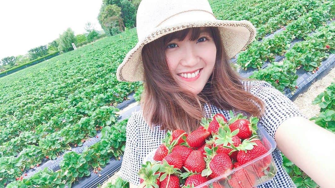 徳永千奈美さんのインスタグラム写真 - (徳永千奈美Instagram)「The best strawberries are the ones you pick yourself 😘🍓❤️ #strawberry  #strawberrypicking  #イチゴ狩り」12月3日 21時22分 - chinami.tokunaga