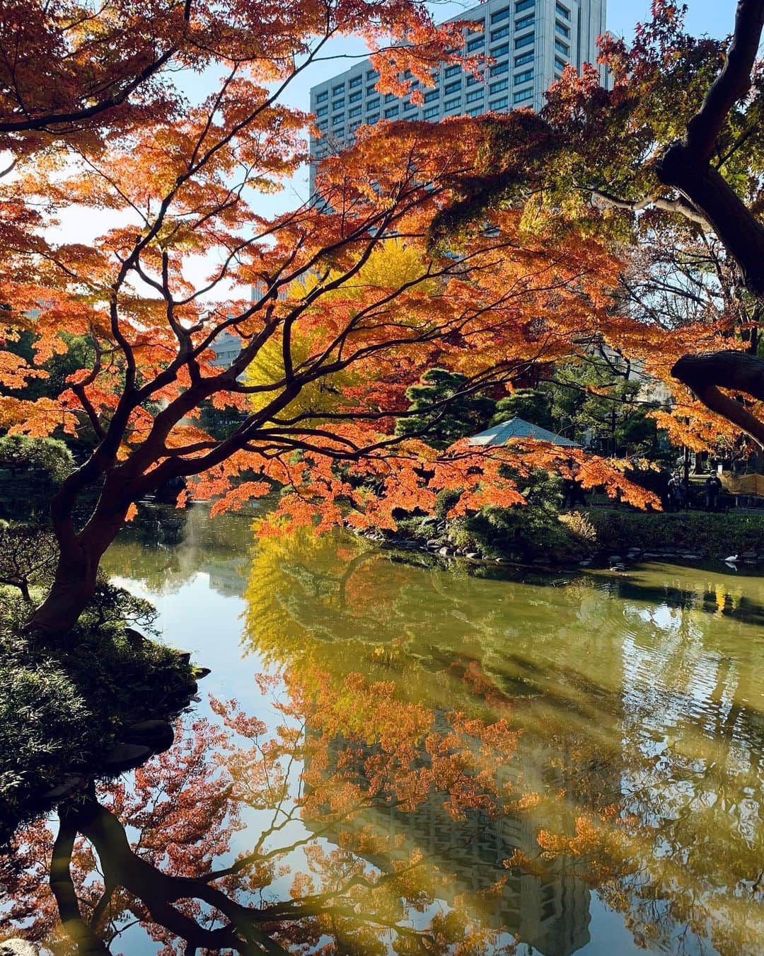Andaz Tokyo アンダーズ 東京さんのインスタグラム写真 - (Andaz Tokyo アンダーズ 東京Instagram)「It may be December, but around the city fall is very much in the air 🍂🍁Take in the vibrant colors of autumn at Hibiya Park, just a 10 minute stroll from @andaztokyo 🚶🏻‍♂️ :: 12月なのに遅れてきた美しい紅葉🍁アンダーズ 東京から徒歩10分の日比谷公園にて⛲️🍂 #autumnalhues #fallintokyo #hibiyapark #秋 #紅葉 #日比谷公園」12月3日 21時51分 - andaztokyo