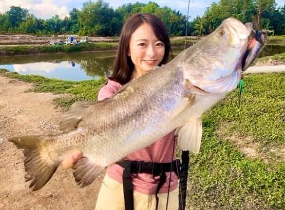 高本采実さんのインスタグラム写真 - (高本采実Instagram)「🐟 マレーシア釣行　振り返り 3日目🇲🇾 1日目最初に来たJUGRAへ再来👾 狙いはバラマンディ 。 魚の活性もガラッとかわり 今日ならいける！ てことで、 色んなブンブンオリカラルアーを使い 見事にバイト&キャッチ‼️ . ヒットルアーは メガバス　ポップマックス ハグレギル（ブンブンオリカラ） . 他にもバイトがきたルアーは ◆nekosogi  月夜の兎 ◆サイレントアサシン　ロッキーショアクリアーオレンジ/ピンク ◆スイングインパクト　ウィードレイクスペシャル . バラマンディ、やっぱりこの 黄金の目、ゴールドアイが カッコイイなぁ〜🤩 引きも強烈⚡︎⚡︎ . マレーシアでは養殖も盛んな 高級魚バラマンディ🐟🌟 プリっふわっとした美味しい白身魚なんですʕ•̫͡•ʔ . . . . . #マレーシア #Malaysia #Jugra #bandar #fishing #バラマンディ #barramundi  #GT #グルーパー #高級魚 #怪魚釣り #海外釣り #つり具のブンブン #オリカラ #ルアー #lure #lurefishing  #釣り #釣り好き #釣りガール #fishinggirl #钓鱼 #高本采実 #あやみん #ayamistagram」12月3日 21時52分 - ayami__summer