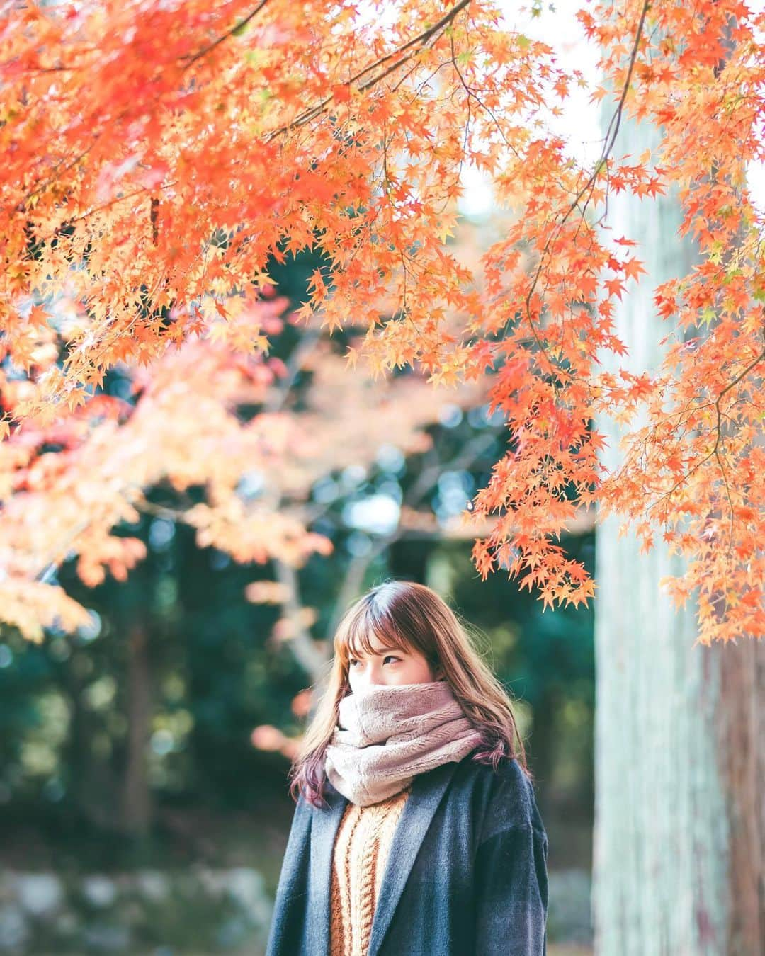 Kobe Japan Water artのインスタグラム：「"Red autumn" 紅葉色🍁」