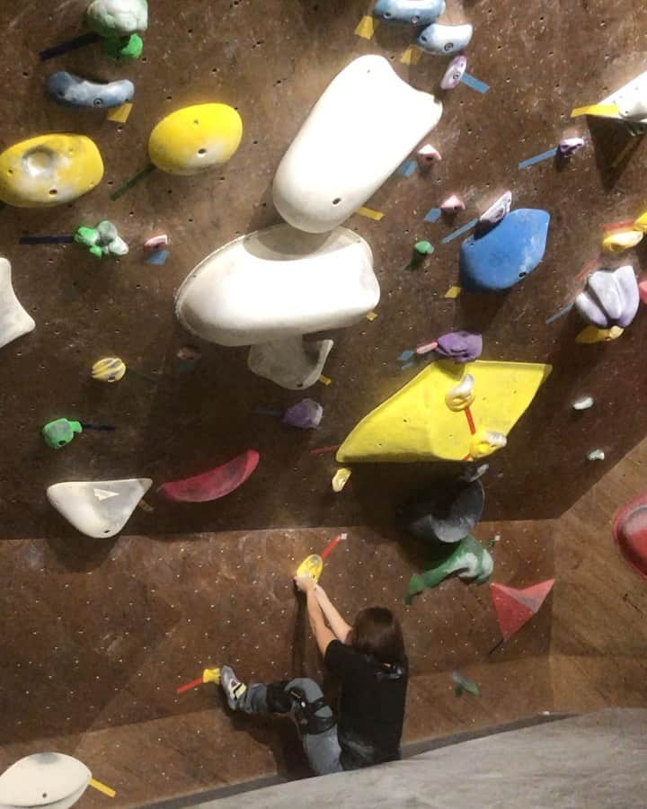 興梠友理のインスタグラム：「【術後8ヶ月半+ / 8.5 months+ post surgery】 ・ Started trying easy boulders on steep wall😤 ・ 強傾斜の5級がやっとのぼれた‼️ 左足で乗り込めない分は、右のサイファー(もどき)で解決✨ ・ 登れる課題から一歩ずつ☺️ ・ #努力は絶対裏切らない #ろぎ子の復活までの記録 #膝脱臼 #複合靭帯損傷 #前十字靭帯断裂 (ACL) #後十字靭帯断裂 (PCL) #内側側副靱帯断裂 (MCL) #内側膝蓋大腿靭帯断裂 (MPFL)  #前十字靭帯再建 #後十字靭帯再建 #半月板縫合 #半月板部分切除 #nevergiveup #roadtorecovery #kneeinjury #kneeinjuryrecovery #kneeinjuryrehab #multipleligamenttears #aclrecovery #bouldering #climbing #basecamptokyo #ベースキャンプ東京 #クライミング #ボルダリング」