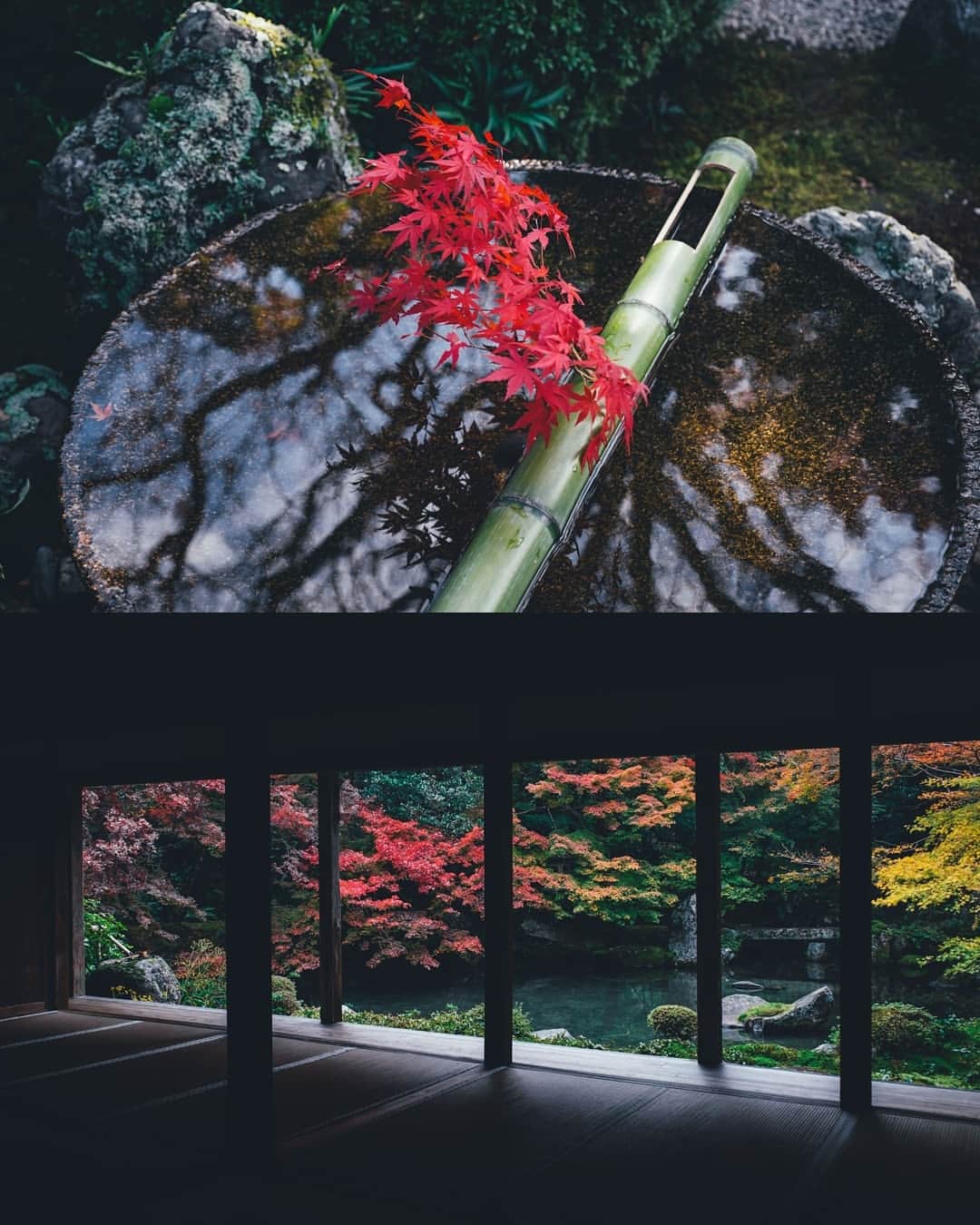 Takashi Yasuiさんのインスタグラム写真 - (Takashi YasuiInstagram)「Autumn in Kyoto」12月3日 22時39分 - _tuck4