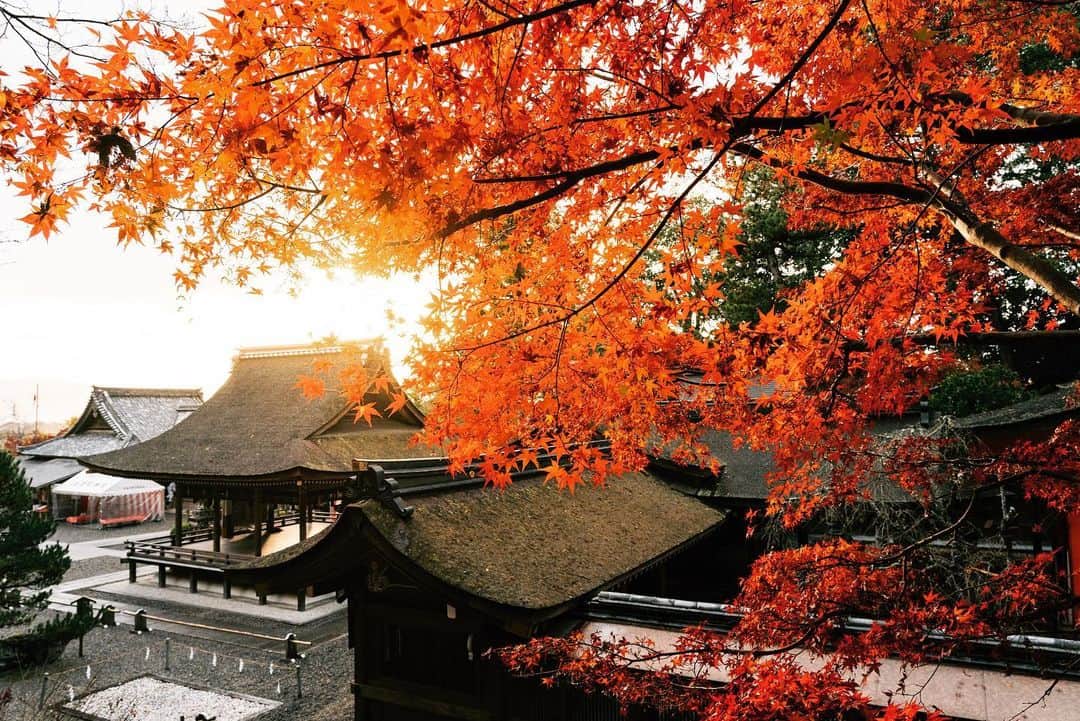 京都いいとこフォトのグルメインスタ