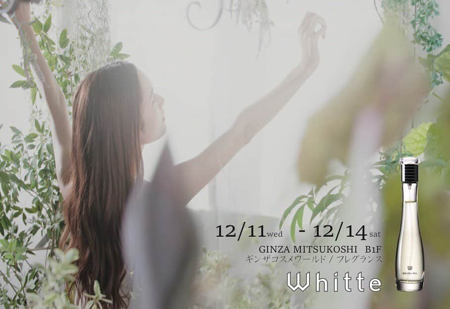 のインスタグラム：「❤︎❤︎❤︎ Whitte POP UP STORE 12/11(水)〜14(土)  銀座三越 B1 コスメワールド フレグランス . 新作のクリーム&オイルは美容成分たっぷりの自信作。 実は顔にも使えるレベルなんです…！ . もちろん香りでも癒され、シンプルだけど贅沢…まさにディスクリートラグジュアリーな世界観。 POPUPではクリスマスコフレもご用意しています♡ . 11日はワークショップも行います。詳しくは0335369204ギンザボーテコンシェルジュまで！ . 来週です！ぜひ予定しておいてくださいね〜！！ . #Whitte #popupshop #ginzamitsukoshi」