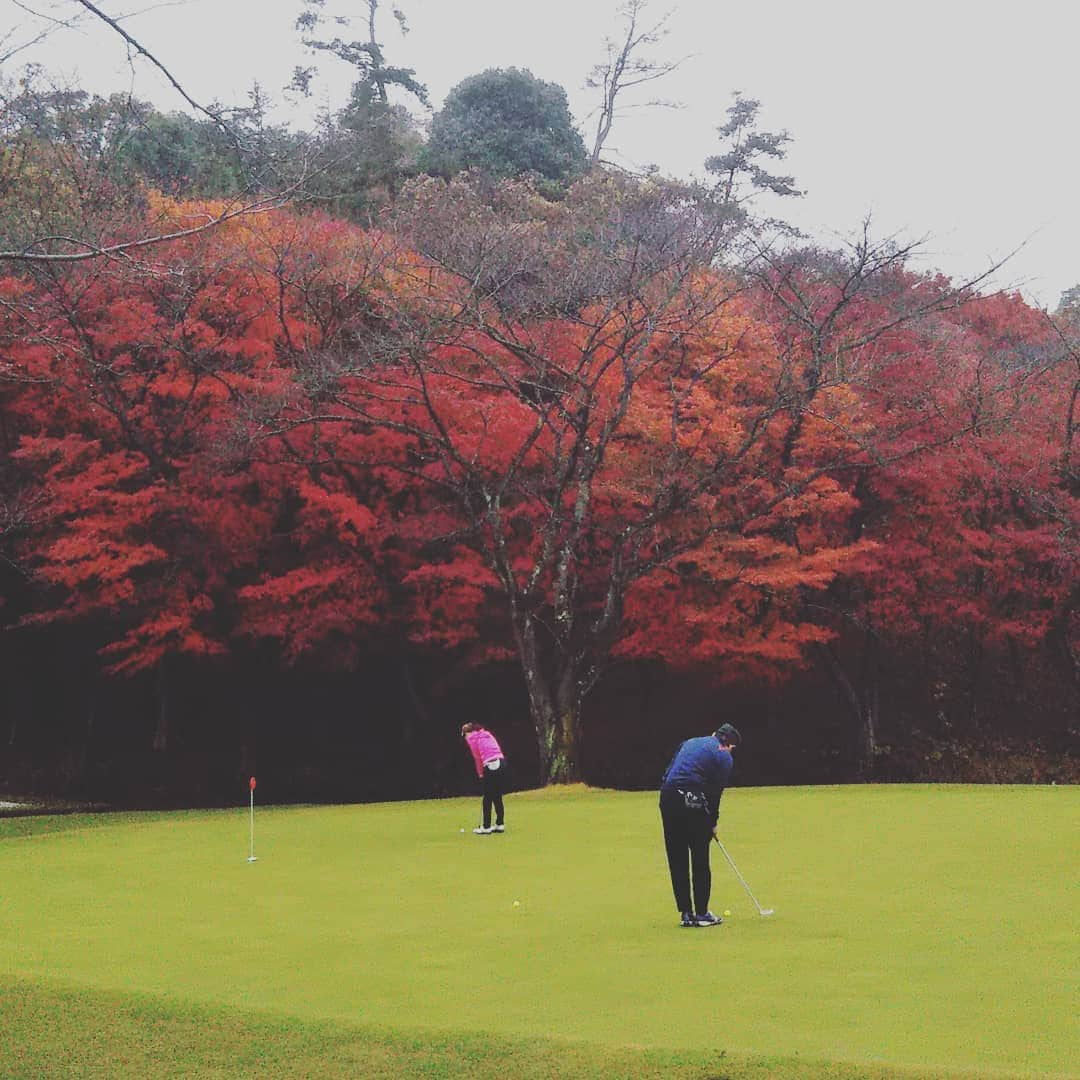 東ブクロのインスタグラム：「2019年122ラウンド目  この紅葉を見ながらプレー出来る期間が今年は短かった気がします。  #鹿野山ゴルフ倶楽部 #ゴルフ芸人 #ゴルフ男子 #紅葉」