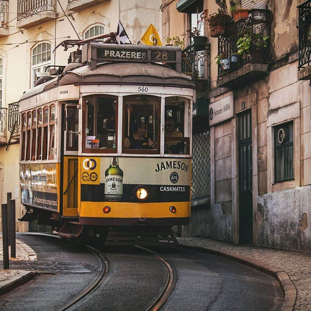 Lonely Planetさんのインスタグラム写真 - (Lonely PlanetInstagram)「Today's #lonelyplanet regrams come from @reyanths, who grabbed this shot of one of #Lisbon's iconic trams making its way down a winding, narrow street, @charliegeater, who snapped a lone flamingo, chilling at #Bolivia's Cańapa Laguna, and @swisschris77, who beautifully captured this panoramic view of Mount Rigi Lucerne, #Switzerland. -- Tag your best travel shots with #lonelyplanet for a chance to be featured!」12月4日 0時01分 - lonelyplanet