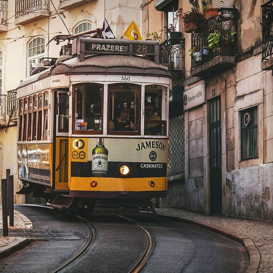 Lonely Planetのインスタグラム：「Today's #lonelyplanet regrams come from @reyanths, who grabbed this shot of one of #Lisbon's iconic trams making its way down a winding, narrow street, @charliegeater, who snapped a lone flamingo, chilling at #Bolivia's Cańapa Laguna, and @swisschris77, who beautifully captured this panoramic view of Mount Rigi Lucerne, #Switzerland. -- Tag your best travel shots with #lonelyplanet for a chance to be featured!」