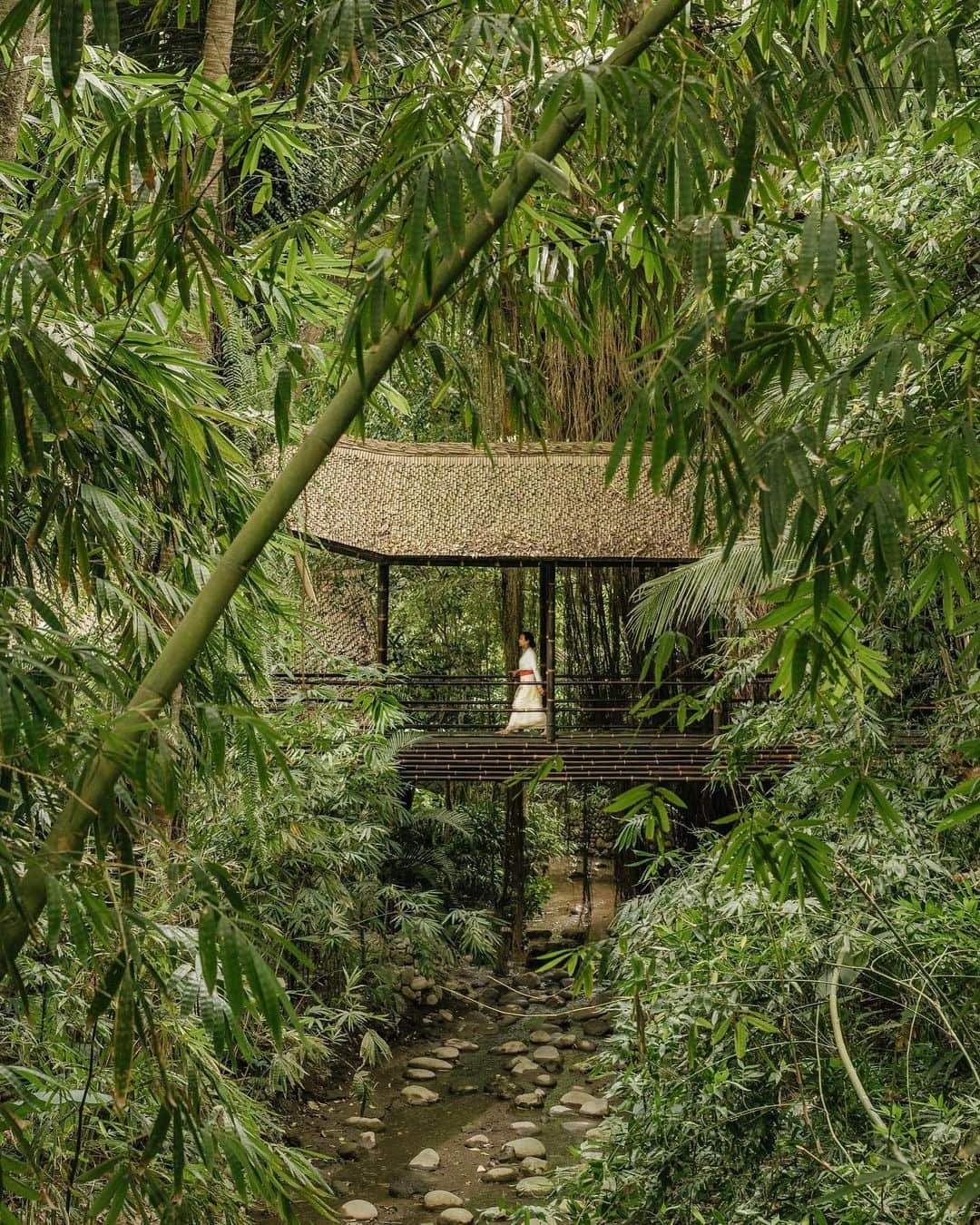 のインスタグラム：「Established #Bali, 1975. Giving back ever since. With each purchase from our #BambooCollection, we plant seedlings to offset our carbon emissions, empower local businesses, and combat soil erosion in Indonesia. Celebrate #GivingTuesday with us now in Stories.  #JohnHardy」