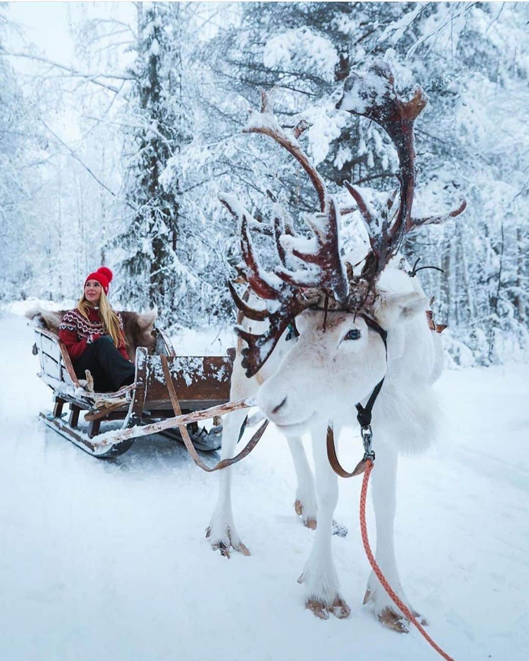 Wonderful Placesさんのインスタグラム写真 - (Wonderful PlacesInstagram)「Who’s ready for a sleigh ride ✨❤️❤️❄️❄️✨ Tag your friends!!! . Picture by ✨@jameslloydcole✨ & ✨@thesunsetcolada✨ #wonderful_places for a feature ❄️❤️」12月4日 1時59分 - wonderful_places