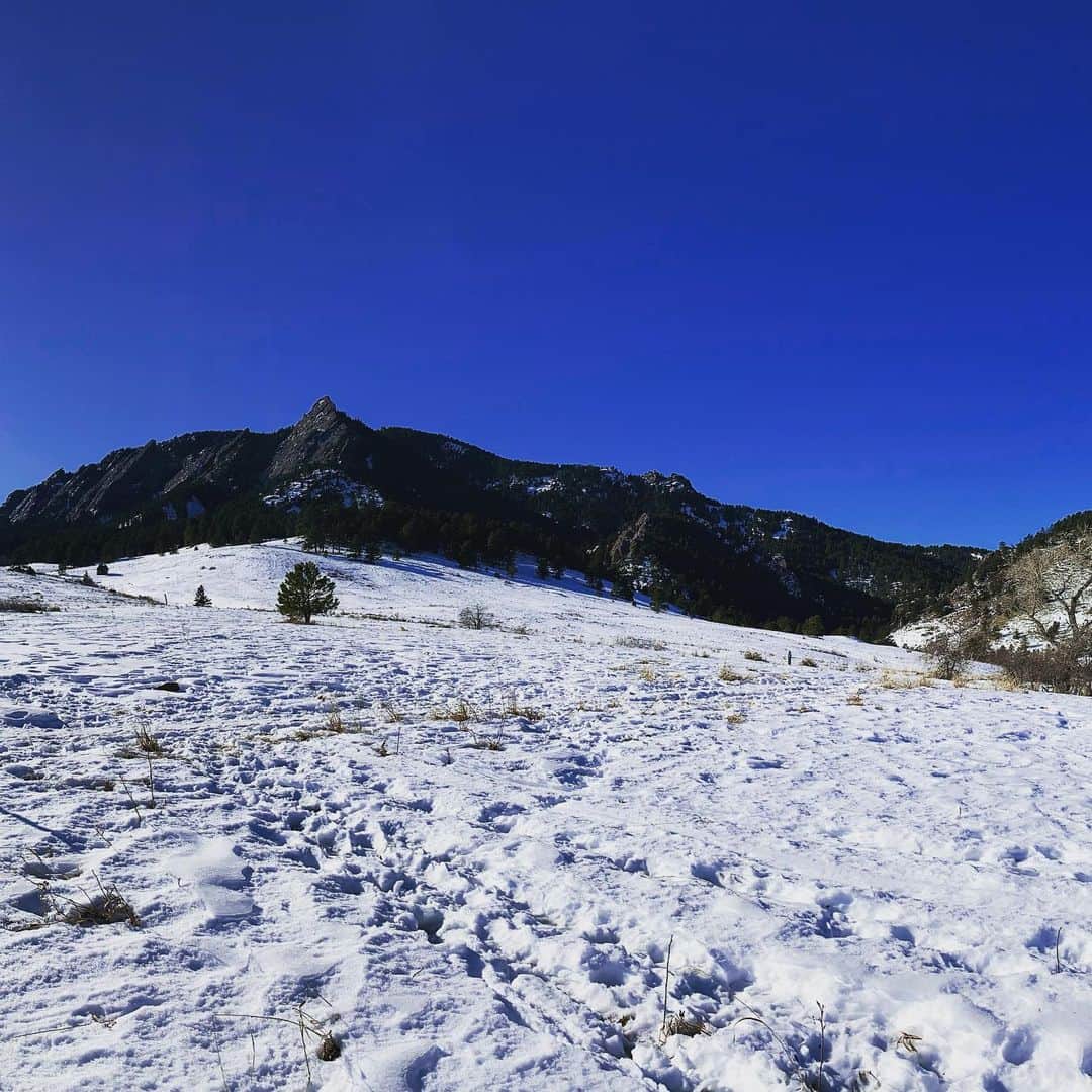 イナキョウコのインスタグラム：「This photo does not show the true beauty of this sight. . . . . . #nature #mountains #snow #hike #bluesky #grateful #beautiful #adventure」