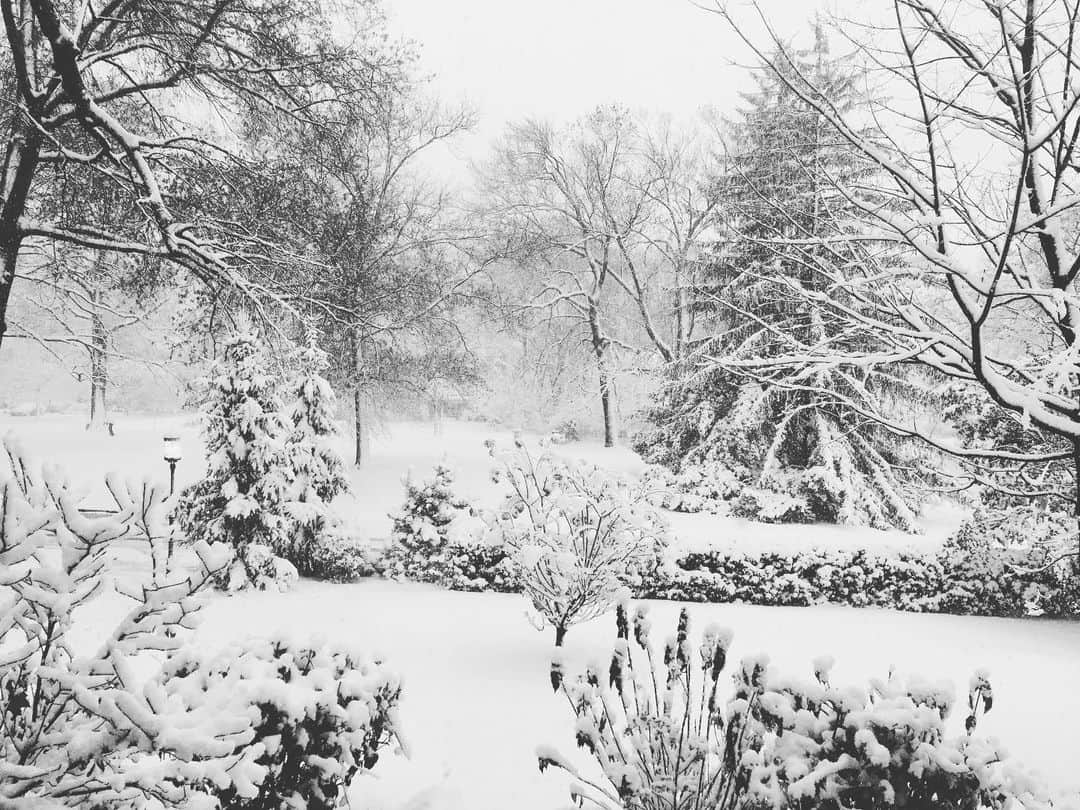 クリステン・コノリーのインスタグラム：「❄️☺️❄️」