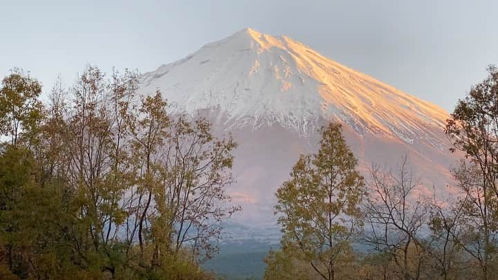 phantastic420のインスタグラム：「. 🤩🤩“Shizuoka” prefecture in Japan is a place where you can see the most “phantastic” Mt. Fuji🗻 in the world.🤩 #富士山 #mtfuji #japan #shizuoka #fujinomiya  #phantastic420photography #mostphantasticmtfuji #selamatpagi  #goodmorning  #おはようございます 😇😇😇😇😇😇😇🗻😇😇😇😇」