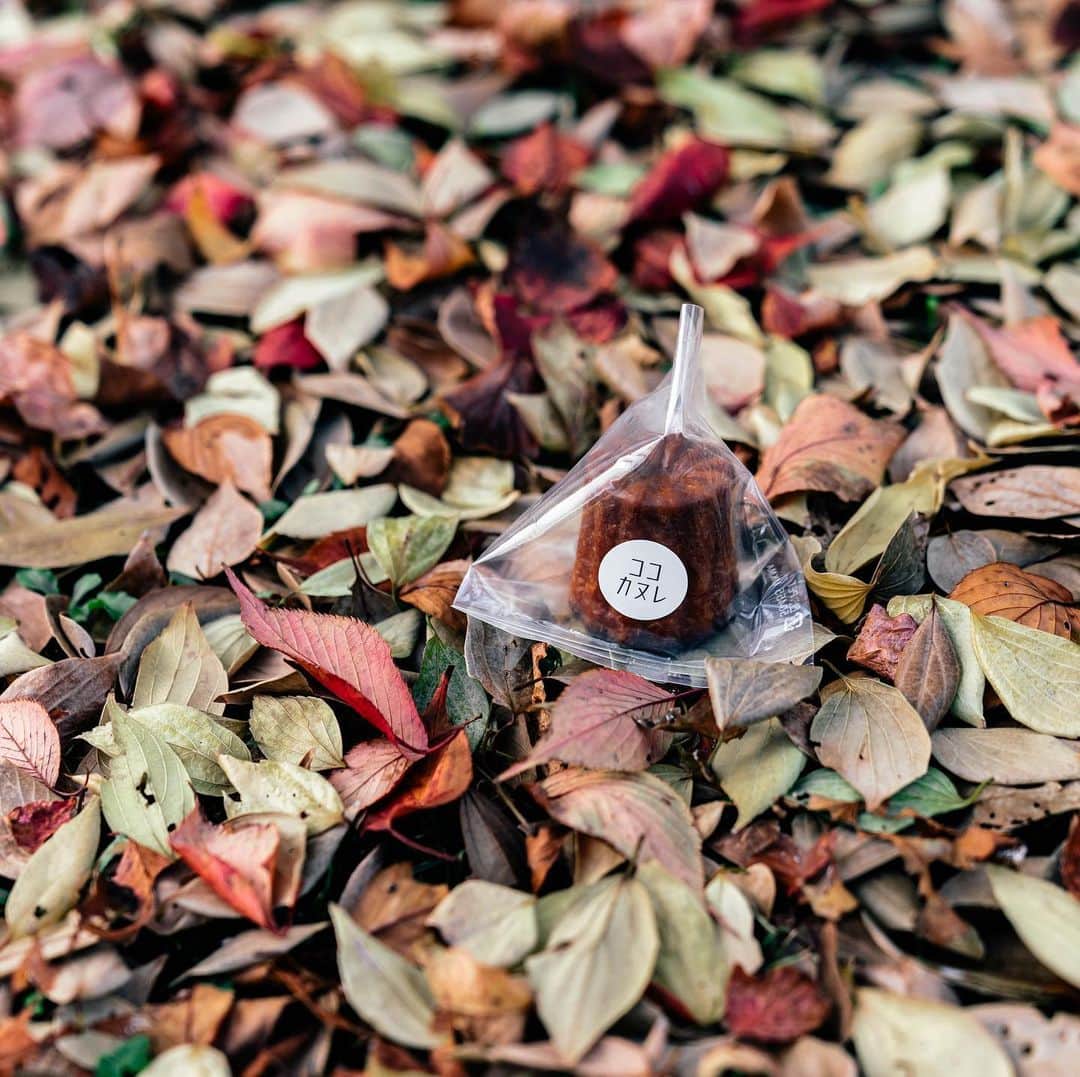 山口淳一のグルメインスタ