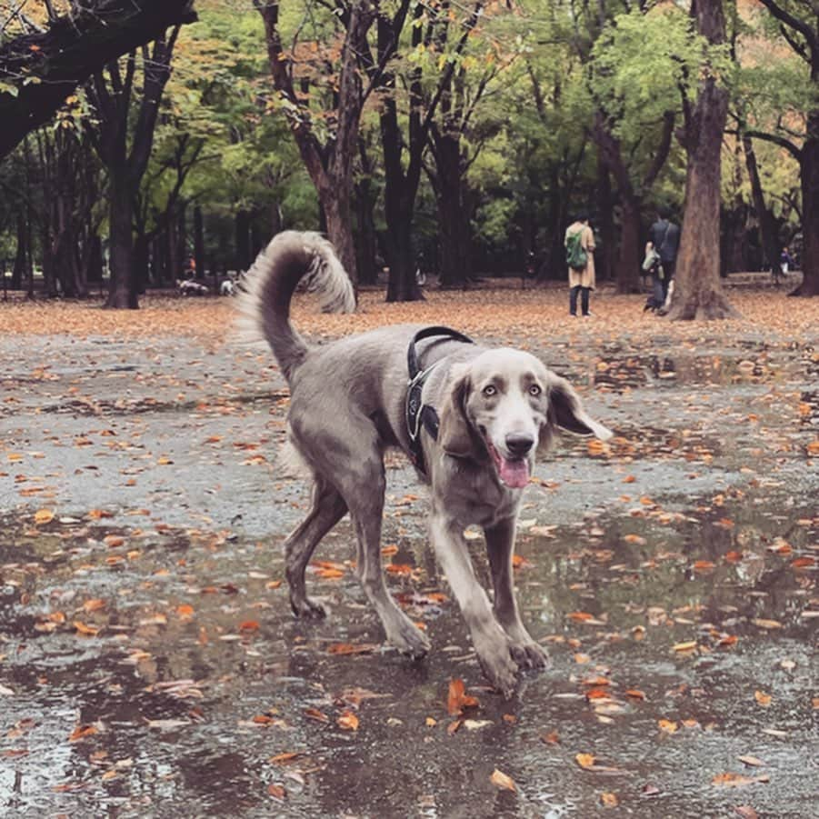 宮前真樹のインスタグラム