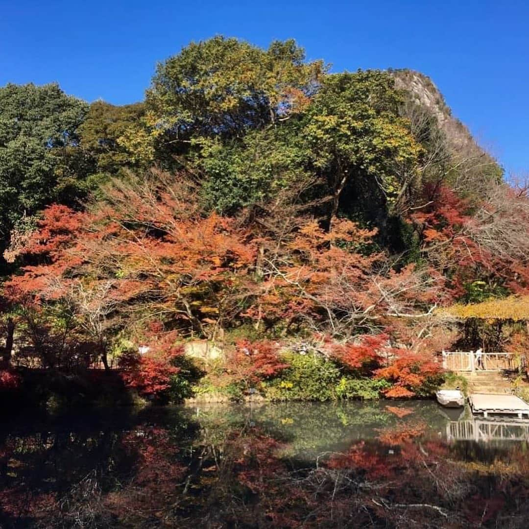 KBCテレビ「アサデス。」さんのインスタグラム写真 - (KBCテレビ「アサデス。」Instagram)「おはようございます！✨ 先週末、佐賀の御船山楽園に紅葉を見に行ってきました平島彩香です😍 紅葉はギリギリでしたが、樹齢3000年の大楠や巨木を見られてリフレッシュできました♫  おととい、流行語大賞が発表されましたね。 あ〜こんなことあったあった！と色々思い出しますね😌 振り返ると増税や元号の変更など色々ありました🌷 そしてJK流行語も発表されました！ 上位３つ「ぴえん」「べびたっぴ」「KP」を皆さんに表現してもらいましたよ❤️ 分かるかな？？ 私は、「ぴえん」は分かりました✌️ #アサデス。#kbc#福岡#fukuoka」12月4日 9時20分 - asadesu_kbc