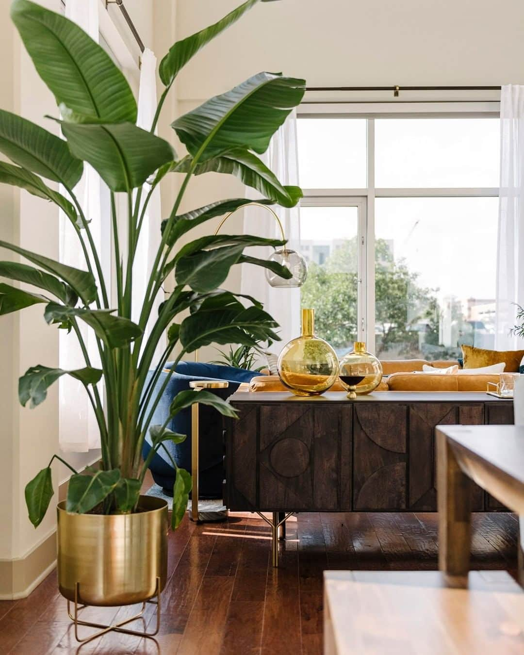 west elmさんのインスタグラム写真 - (west elmInstagram)「@apartment_bartender named his plant Buster and honestly, we see it 🌱 Do you name your plants? Tell us your best names below 👇 and tap the link in bio to tour the full space outfitted by the #WestElmDesignCrew! @westelmdenver #apartmentbartender #plantpeople #houseplantclub」12月4日 9時33分 - westelm