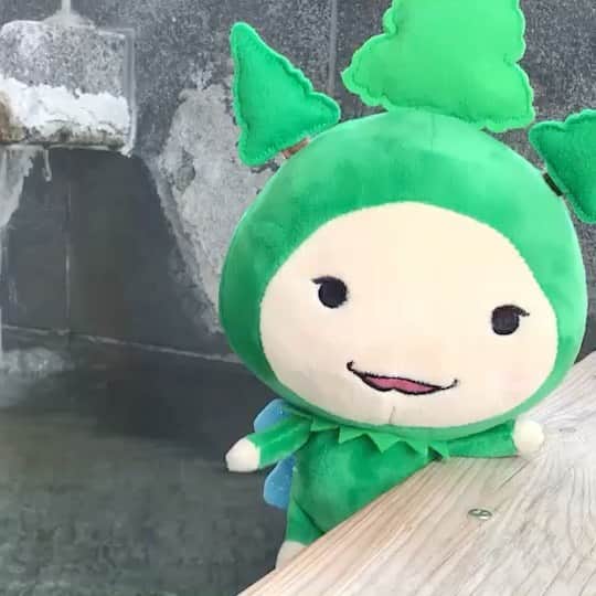 のインスタグラム：「足湯でのんびりだよー＾＾  . #モーリーズ #moories  #ダイナム #かわいい #kawaii #cute #ゆるキャラ #ご当地キャラ #キャラクター #follow #ぬい撮り #stuffedtoy #instagood #マスコット #木の妖精 #モリスケ #モーリーズコーヒー #モーリーズカフェ」