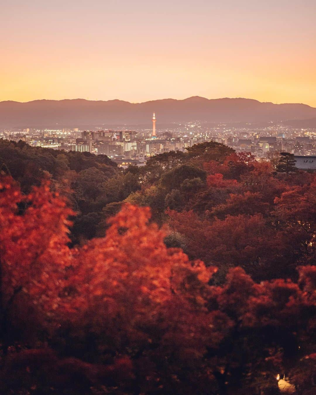 清水寺さんのインスタグラム写真 - (清水寺Instagram)「Butsumyo-e ｜仏名会 2019.12.3」12月4日 12時10分 - feel_kiyomizudera