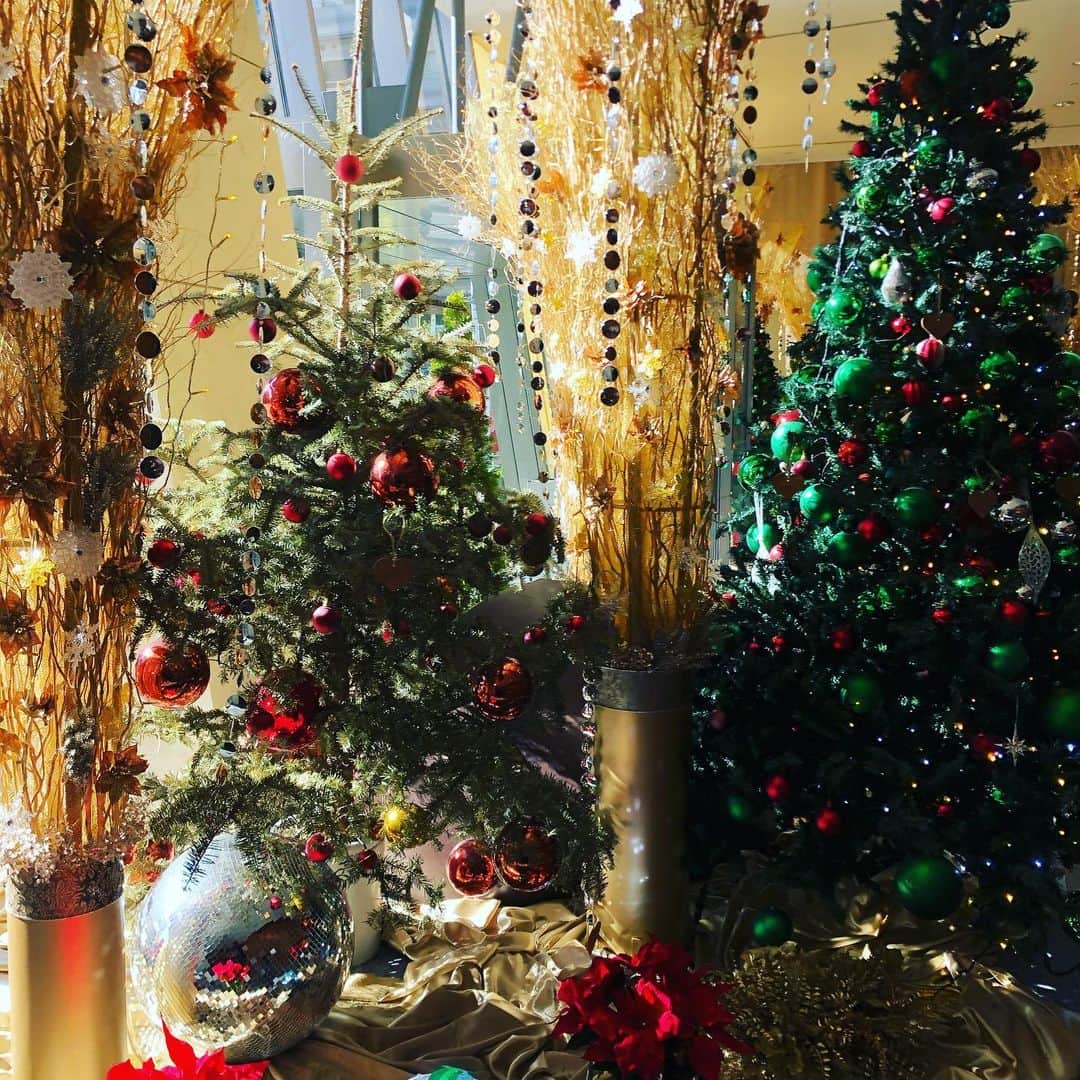 滝川その美さんのインスタグラム写真 - (滝川その美Instagram)「こちらでお茶の後は大好きな友とランチへ🤩 #クリスマス #クリスマスツリー #寒いけど #12月はワクワクします」12月4日 12時11分 - iam_sonomi_official