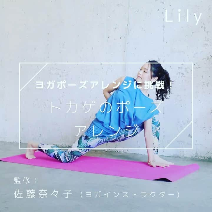 Lilyのインスタグラム