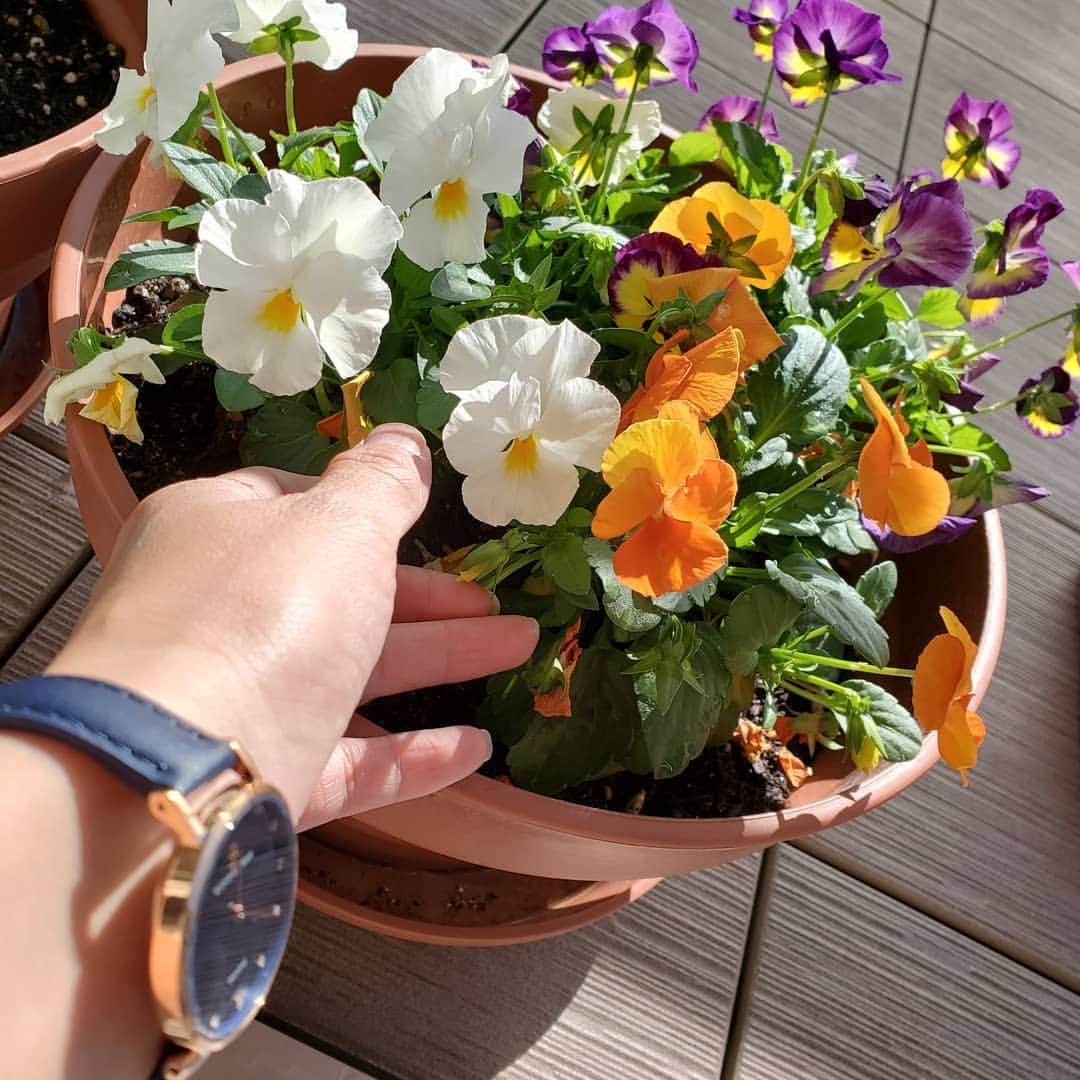 広村美つ美のグルメインスタ