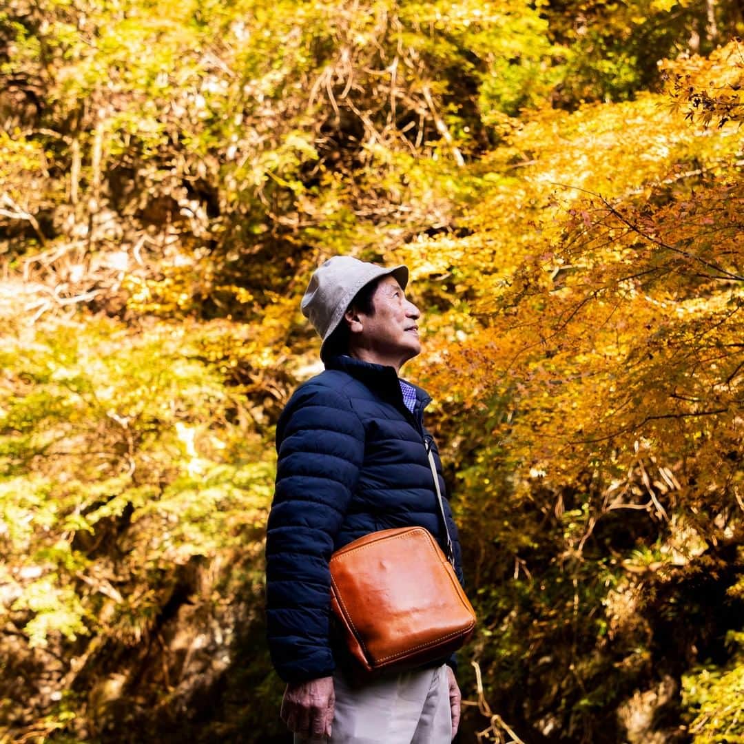 土屋鞄さんのインスタグラム写真 - (土屋鞄Instagram)「ある週末。創業者であり、スタッフから「お父さん」と親しまれている土屋國男と一緒に、紅葉狩りに行きました。自然の豊かさを感じる秋と、色つやを深めていく鞄。互いがそっと、寄り添っているように見えました。 ※写真の「ジップトップショルダー」は初期モデルのため、現在販売している鞄と若干仕様が異なります。 ・ #紅葉 #紅葉狩り #山 #散歩 #お出かけ #トーンオイルヌメ #ジップトップショルダー #初代ジップトップショルダー #革 #革鞄 #ショルダーバッグ #土屋鞄 #土屋鞄製造所 #toneoilnume #leather #shoulderbag #Tsuchiyakaban」12月4日 13時14分 - tsuchiya_kaban