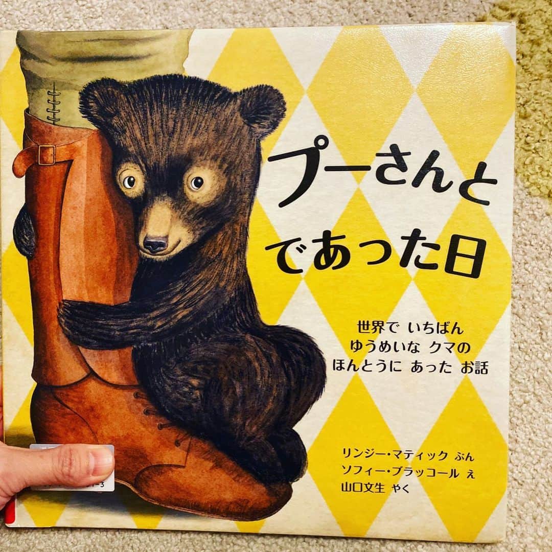 海保知里さんのインスタグラム写真 - (海保知里Instagram)「息子が1人でたどたどしくも声に出して読んでいる姿にキュンとくる母🤣はい親バカです。 ... #おしりたんてい や　#ヨシタケシンスケ　さんの絵本も大好きな息子。 ... 後半の絵本の原作は英語。英語絵本を日本で買うと高いので、最近は図書館で日本語版をまず借りるように。 ... 3枚目はくまのプーさんのモデルになった本当にいた熊Winnieのお話。 #プーさんとであった日  4枚目は灯台に赴任する灯台守のお話。#おーいこちら灯台  作者は両方　#sophieblackall  #caldecottmedal #海保知里」12月4日 13時29分 - chisato_kaiho
