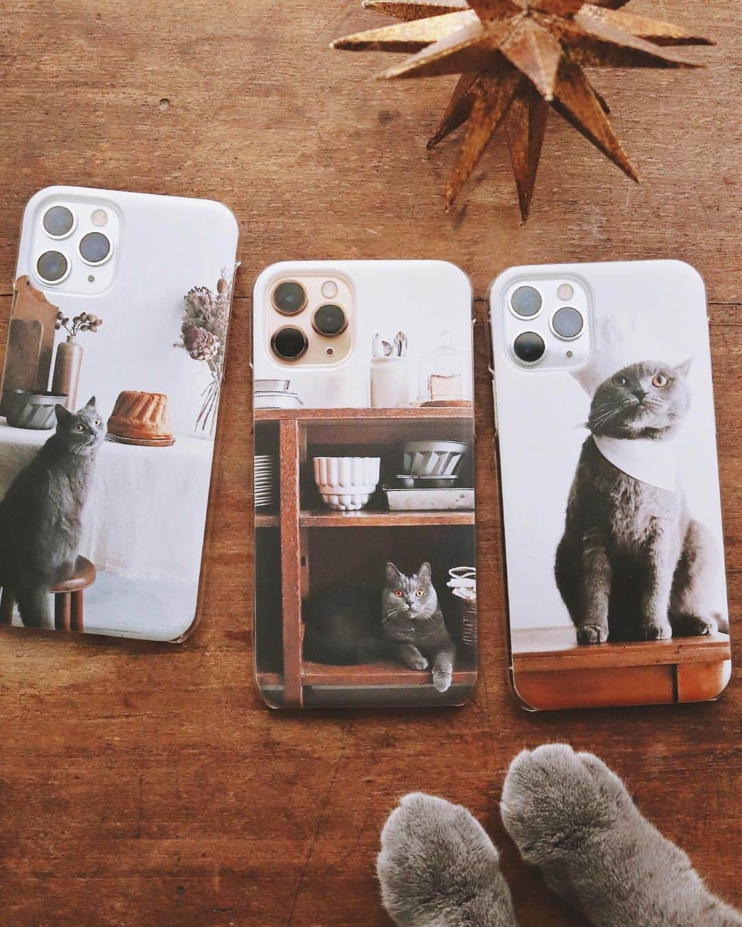 樋口正樹さんのインスタグラム写真 - (樋口正樹Instagram)「Design Case . ボナさんの写真の スマホのケースを また追加しました。 真ん中のは妻ので、 右のは予備として。 . まだクリスマスに 間に合いますよー。 Designcaseという アプリで作れます。 . . #スマホケース #スマホケース手作り #ねこ部 #ブリショー #ブリティッシュショートヘア #猫と暮らす #猫のいる暮らし #みんねこ #ペコねこ部 #catoftheday #catlovers #designcase #caseiphone」12月4日 13時32分 - higuccini