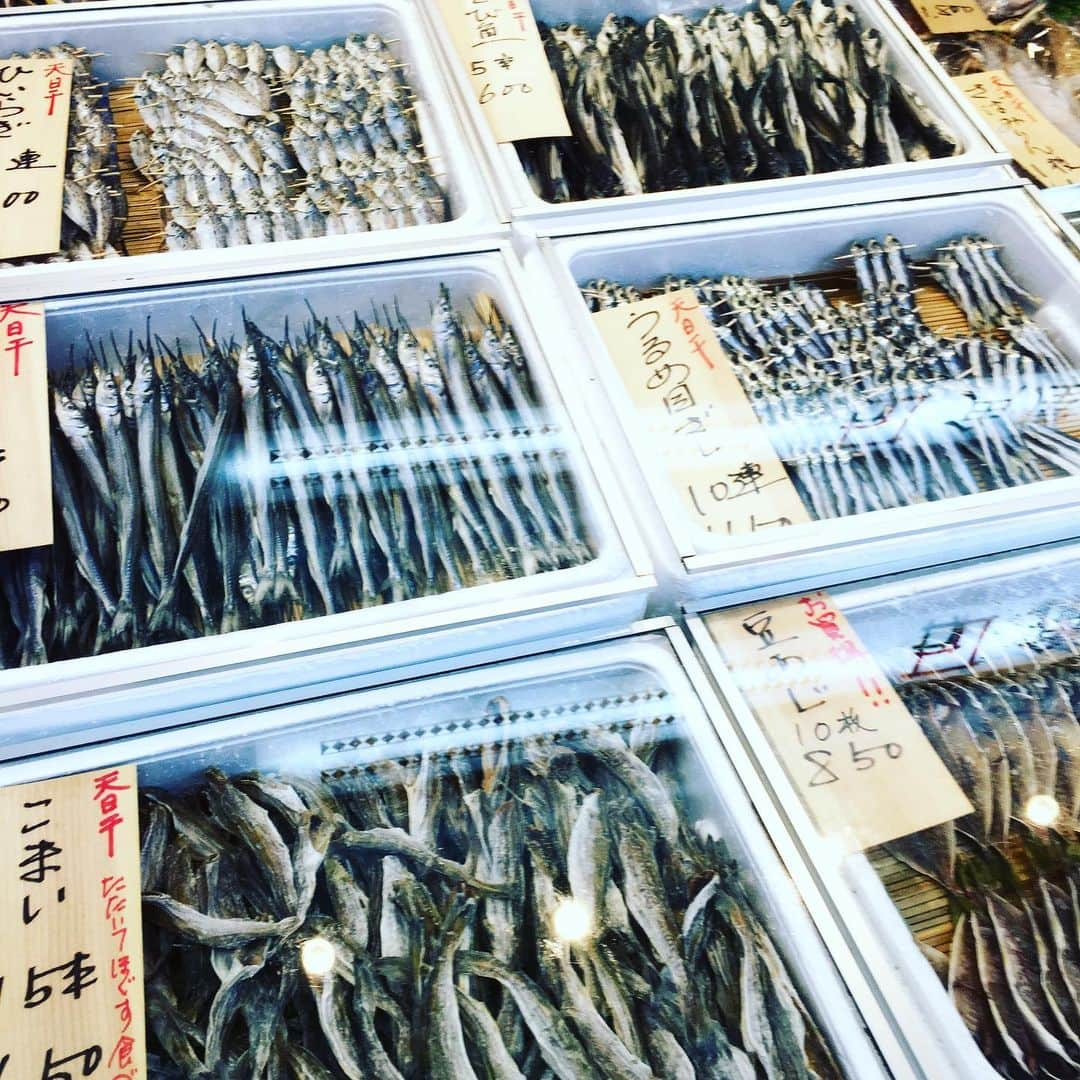 珠洲春希さんのインスタグラム写真 - (珠洲春希Instagram)「初めての熱海へ。 お部屋の露天風呂に浸かり、友人と色々な事を語らいます。 彼女との旅行は、もう、7年ぶりかも？？？ 夕食には老舗の洋食やさん、スコットへ。 牛タンシチューが美味しいです🍤🍖🥦 商店街で、干物やレトロな喫茶店、色々散策をし、束の間の楽しい時間を過ごしました😌 神社では、樹齢2000年を越える木にパワーをいただきました。」12月4日 13時32分 - harukisuzu54