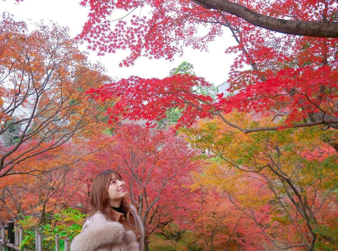 黒坂優香子さんのインスタグラム写真 - (黒坂優香子Instagram)「🍁 ・ ・ 京都の東福寺へ❤️ 母と共に👩‍👧✨ ・ 前回も母と二人で京都旅したんだけれど、紅葉の季節に来るのは初めてで！！ 美しすぎてとっても感動した😢 ・ ・ 来年も行きたいなあ👼✨ ・ ・ #京都  #京都旅 #親娘旅」12月4日 23時25分 - yukakokurosaka0606