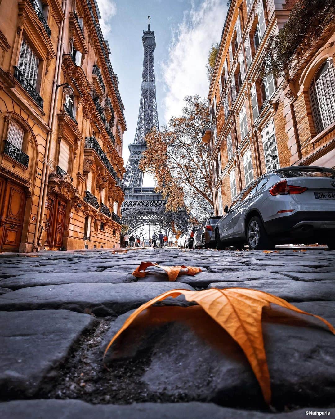 nathparisのインスタグラム：「Last autumn leaf 🍂」