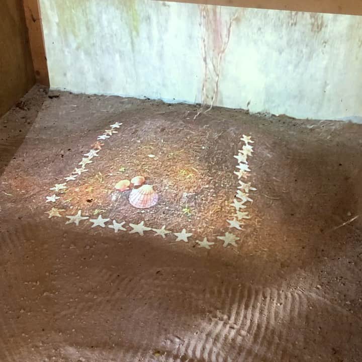 いとうせいこうのインスタグラム：「カルティエ財団現代美術館では外の林の中の小道に小屋があり、中に今年亡くなったアニエス・ヴァルダのインスタレーションがあって心にしみた。」