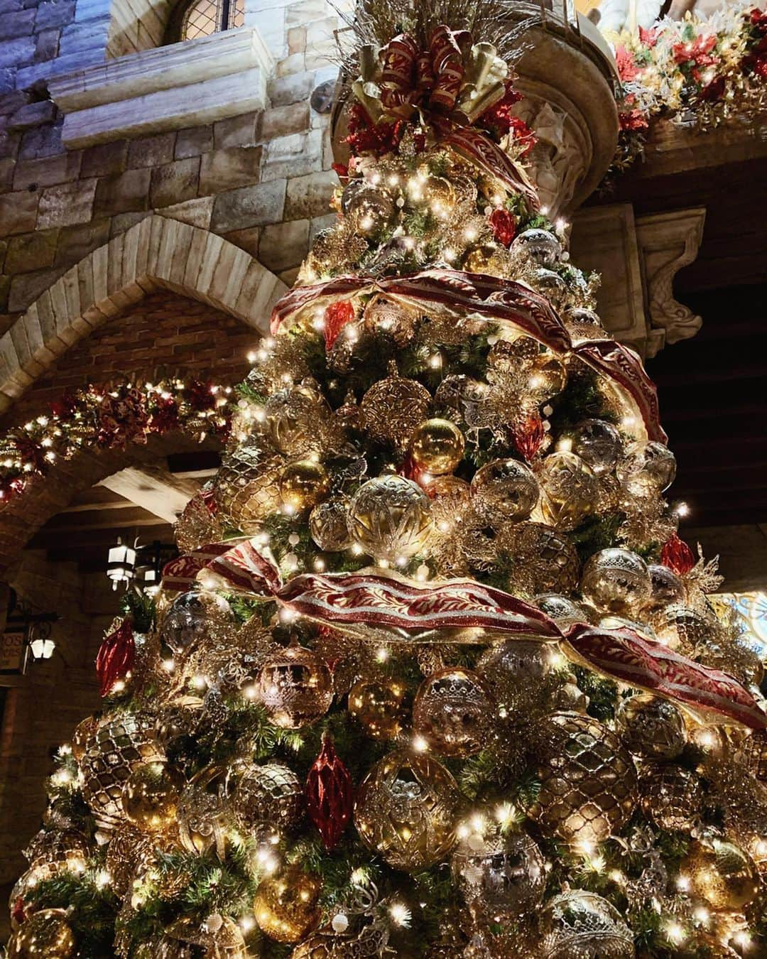 舞雛かのんさんのインスタグラム写真 - (舞雛かのんInstagram)「christmas disneysea🎄 可愛かったなぁ...‪‪❤︎‬. . 3枚目のデイジーがドナルドに 甘えてるのがとっても可愛くて、 キュンキュンしちゃったっ‪‪❤︎‬. . #christmasdisney #disneysea  #ドナルドデイジー可愛い」12月5日 0時15分 - mizho_601