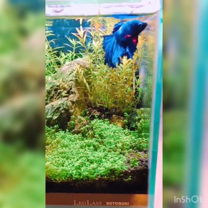 木田健太郎のインスタグラム