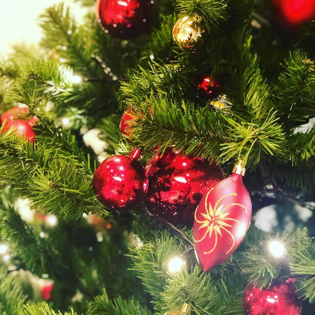 清水あすかさんのインスタグラム写真 - (清水あすかInstagram)「#beautiful  #christmastree  #roppongi  #red #ornament #christmasornament」12月5日 0時29分 - asukahime1015