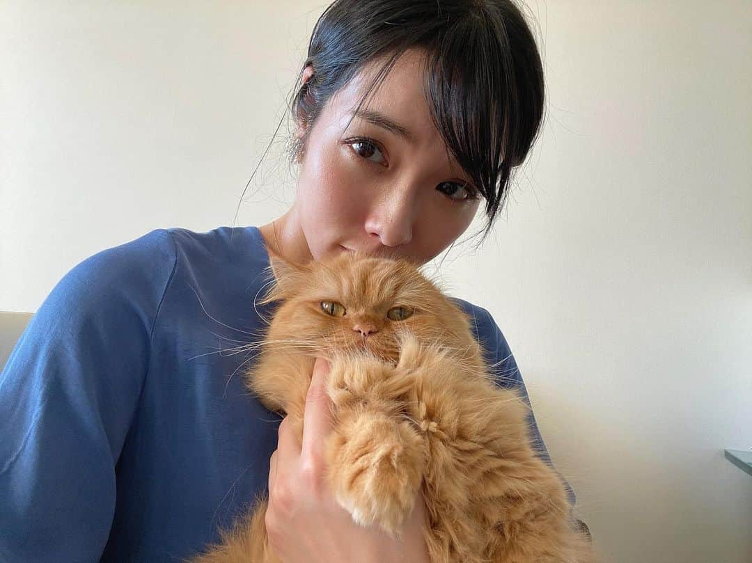 今野杏南さんのインスタグラム写真 - (今野杏南Instagram)「* うちのかわいいぬこたち💞 れもんちゃんは美人さん💞 まりもは鼻ぺちゃさん💞 @remon.marimo_konno  #ねこすたぐらむ  #マンチカン #ミヌエット」12月4日 16時12分 - anna_konno0615