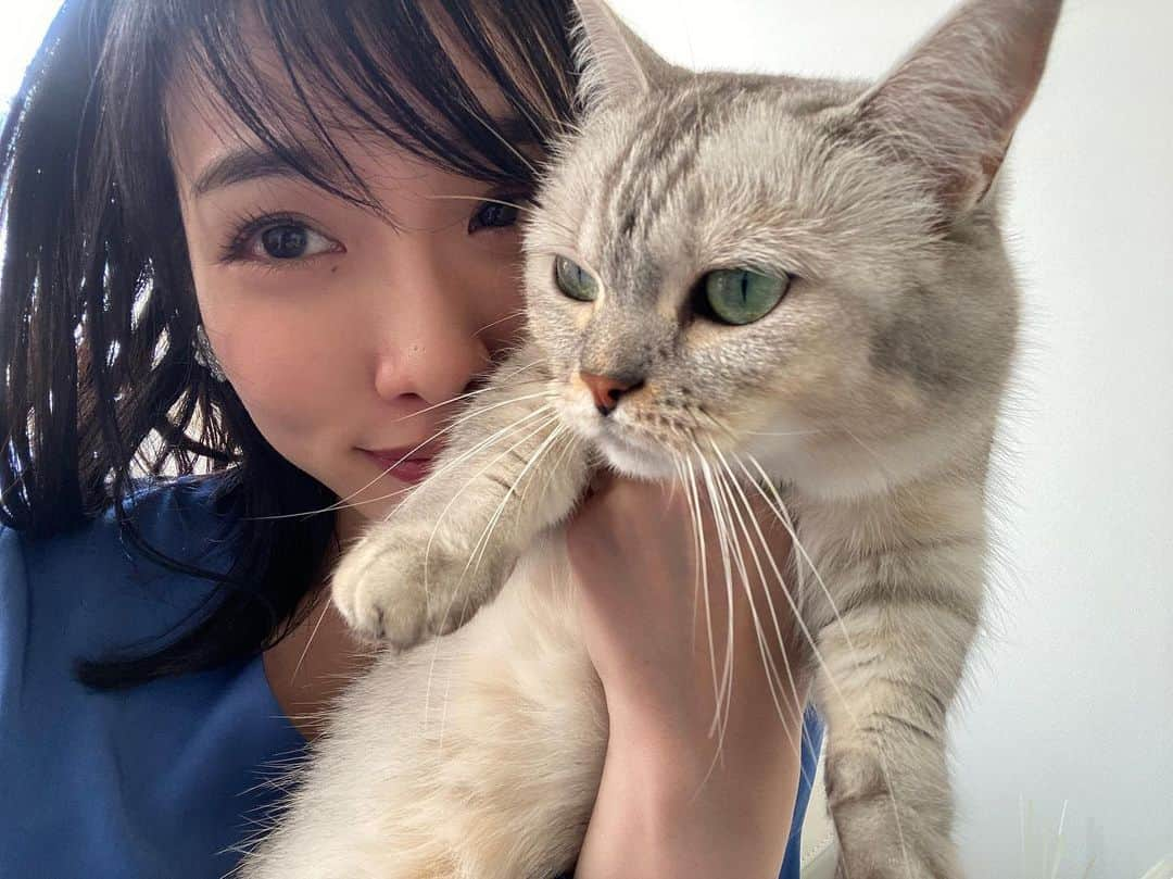 今野杏南さんのインスタグラム写真 - (今野杏南Instagram)「* うちのかわいいぬこたち💞 れもんちゃんは美人さん💞 まりもは鼻ぺちゃさん💞 @remon.marimo_konno  #ねこすたぐらむ  #マンチカン #ミヌエット」12月4日 16時12分 - anna_konno0615