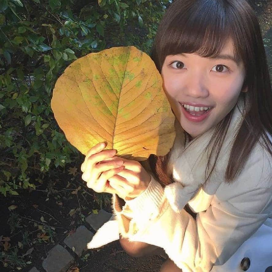 浜辺美波さんのインスタグラム写真 - (浜辺美波Instagram)「ひとみんの顔よりでかい落ち葉🍂 ・ ・ ・ #田中瞳 #田中瞳アナ #田中瞳アナウンサー #田中アナ #田中瞳アナかわいい💞 #ひとみん💗 #テレ東新人アナ #モヤさま2 #モヤモヤさまぁーず2 #4代目アシスタント #田中瞳好きな人とつながりたい #l4l #f4f #tokyo #japan #instagramer #instalike #instagood #instapic」12月4日 17時14分 - lgm_naotan