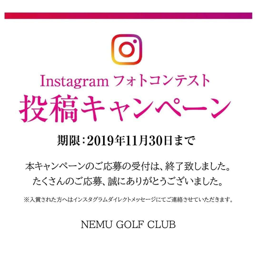 【公式】NEMUのインスタグラム